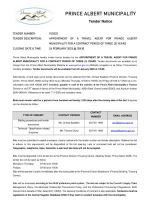 PAMun Tender Notice TD11__2025 Travel Agent.pdf