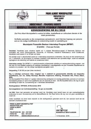 Finansiele Intern.pdf