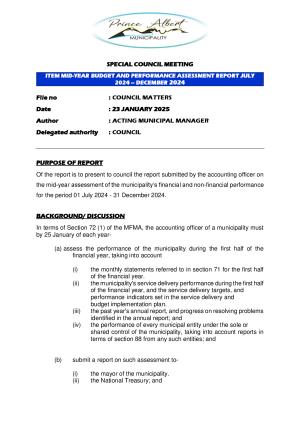 Mid-Year Budget and Performance Assessment - 2024/2025