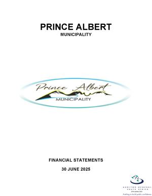 Audited Financial Statements 2024-2025