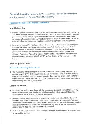 Audit Report - 2024/2025