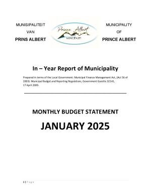 Monthly Report January 2025